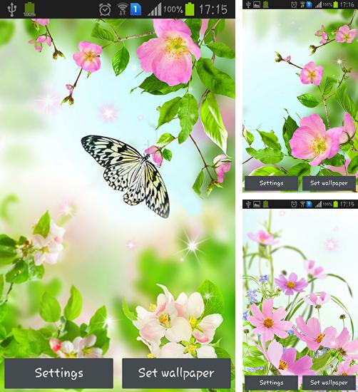 Дополнительно к живым обоям на Андроид телефоны и планшеты Солнечная система, вы можете также бесплатно скачать заставку Gentle flowers.