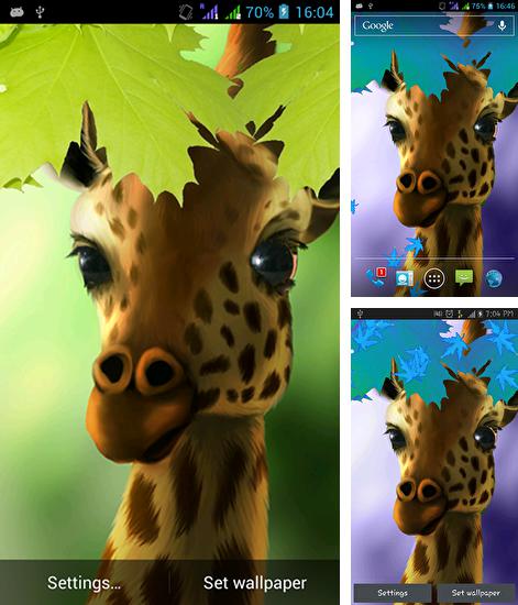 Дополнительно к живым обоям на Андроид телефоны и планшеты Пляж, вы можете также бесплатно скачать заставку Giraffe HD.