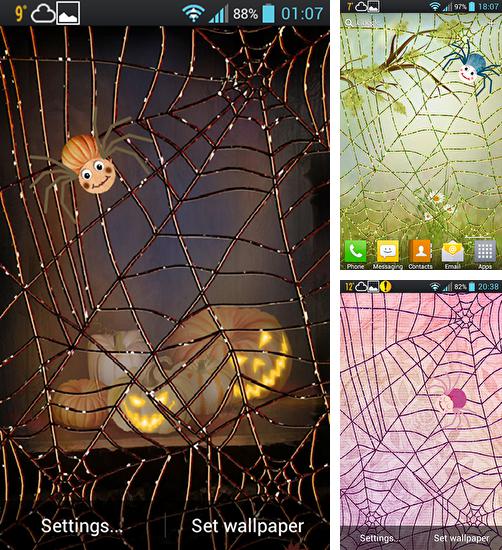 Zusätzlich zum Live Wallpaper Bildschirmsperre für Android Mobiltelefone und Tablets, können Sie auch Halloween: Spider, Halloween: Spinne kostenlos herunterladen.