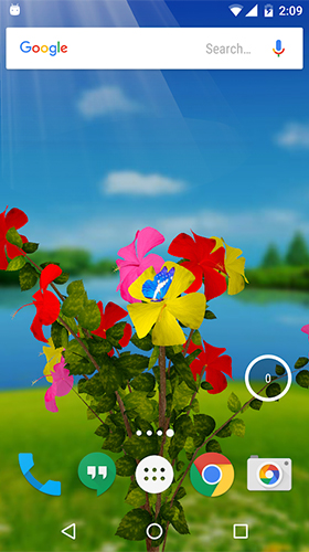 Hibiscus 3D - бесплатно скачать живые обои на Андроид телефон или планшет.