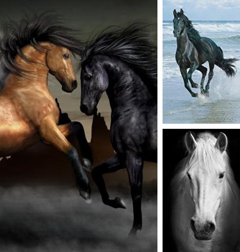Download live wallpaper Horses for Android. Get full version of Android apk livewallpaper Horses for tablet and phone.