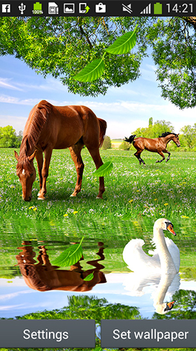 Horses by Latest Live Wallpapers
