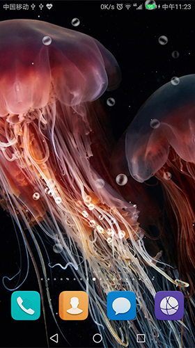 Jellyfish by live wallpaper HongKong