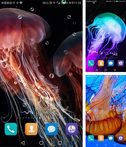 Kostenloses Android-Live Wallpaper Qualle. Vollversion der Android-apk-App Jellyfish by live wallpaper HongKong für Tablets und Telefone.