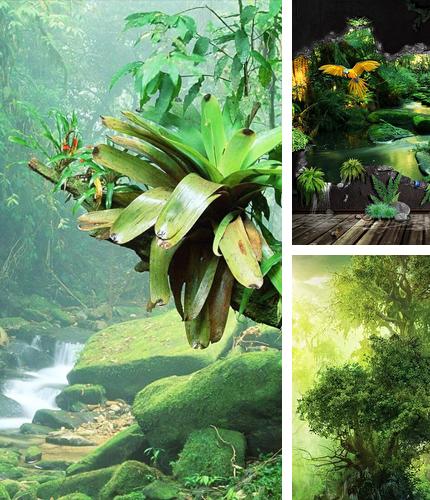 Download live wallpaper Jungle for Android. Get full version of Android apk livewallpaper Jungle for tablet and phone.