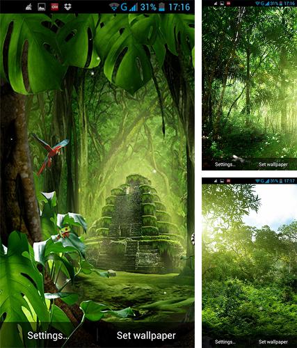 Kostenloses Android-Live Wallpaper Dschungel. Vollversion der Android-apk-App Jungle by LWP World für Tablets und Telefone.