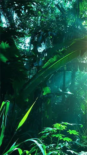Jungle by Pro Live Wallpapers