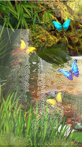 Écrans de Jungle waterfall pour tablette et téléphone Android.