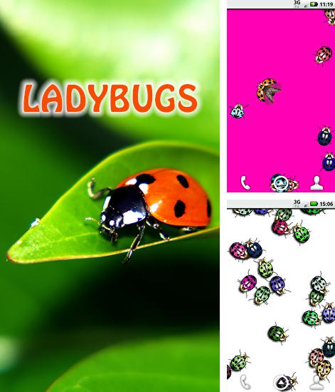Ladybugs - бесплатно скачать живые обои на Андроид телефон или планшет.