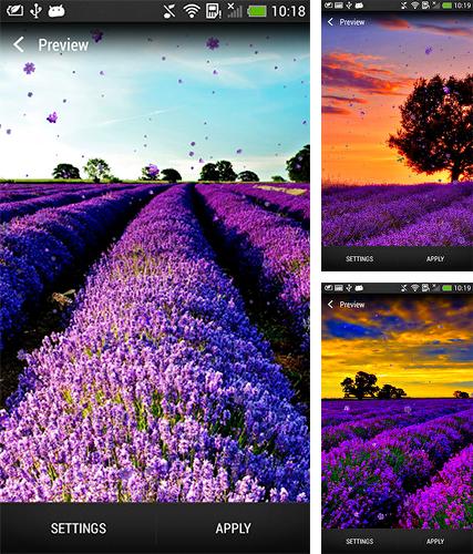 Kostenloses Android-Live Wallpaper Lavendel. Vollversion der Android-apk-App Lavender für Tablets und Telefone.