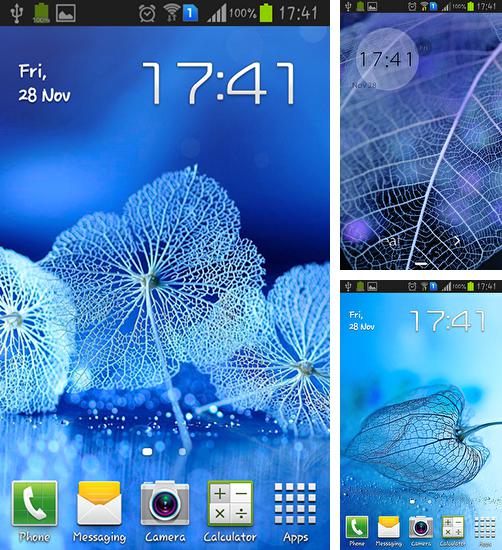 Download live wallpaper Leaf for Android. Get full version of Android apk livewallpaper Leaf for tablet and phone.