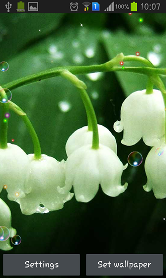 Download livewallpaper Lily of valley forest for Android. Get full version of Android apk livewallpaper Lily of valley forest for tablet and phone.
