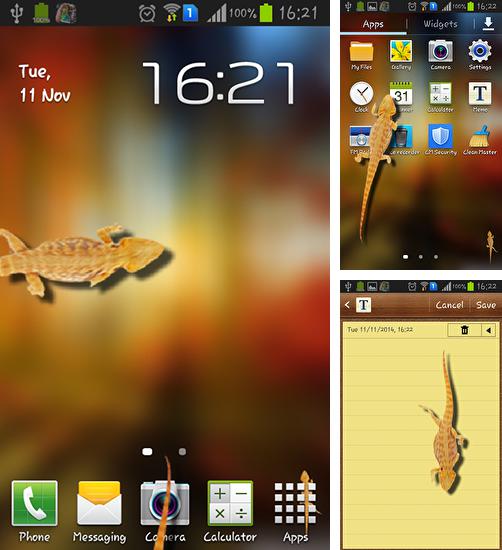 Kostenloses Android-Live Wallpaper Eidechse im Telefon. Vollversion der Android-apk-App Lizard in phone für Tablets und Telefone.