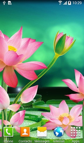 Fondos de pantalla animados a Lotus para Android. Descarga gratuita fondos de pantalla animados Flores de loto.