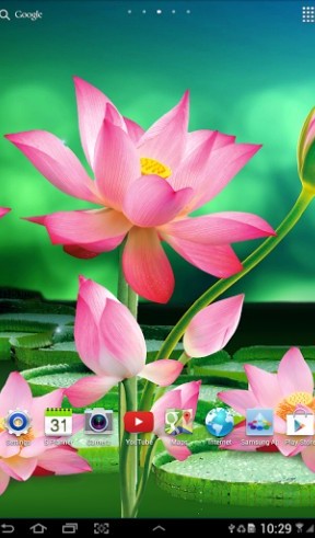 Écrans de Lotus pour tablette et téléphone Android.