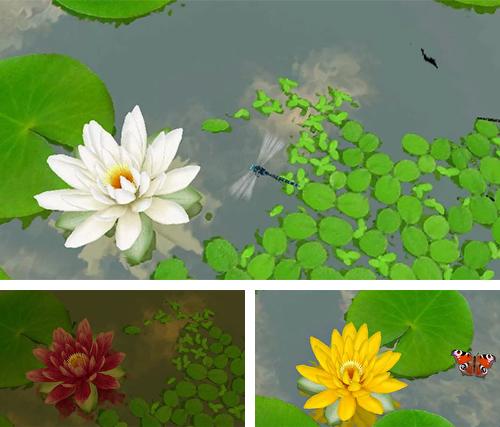 Download live wallpaper Lotus 3D for Android. Get full version of Android apk livewallpaper Lotus 3D for tablet and phone.