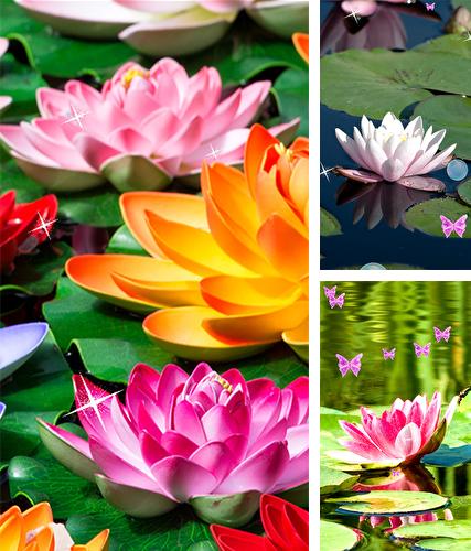 Lotus by Latest Live Wallpapers - бесплатно скачать живые обои на Андроид телефон или планшет.