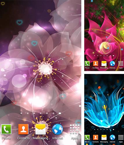 Kostenloses Android-Live Wallpaper Leuchtenden Blumen. Vollversion der Android-apk-App Luminous flower für Tablets und Telefone.