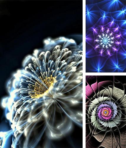 Download live wallpaper Luminous flowers for Android. Get full version of Android apk livewallpaper Luminous flowers for tablet and phone.
