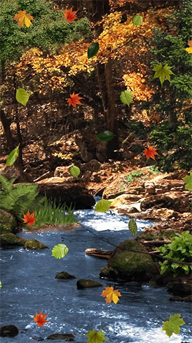Download Magic forest - livewallpaper for Android. Magic forest apk - free download.