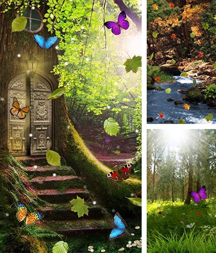 Download live wallpaper Magic forest for Android. Get full version of Android apk livewallpaper Magic forest for tablet and phone.