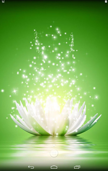 Download Magic water lilies - livewallpaper for Android. Magic water lilies apk - free download.