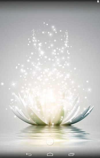 Screenshots of the Magic water lilies for Android tablet, phone.