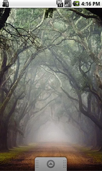 Magical forest by Wpstar - бесплатно скачать живые обои на Андроид телефон или планшет.