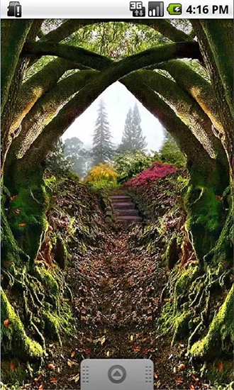 Screenshots von Magical forest by Wpstar für Android-Tablet, Smartphone.