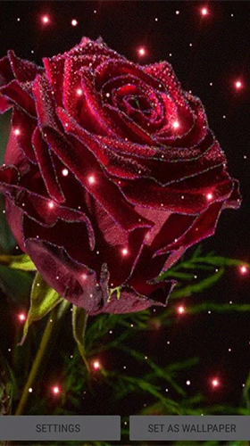 Magical Rose Pour Android à Télécharger Gratuitement Fond D