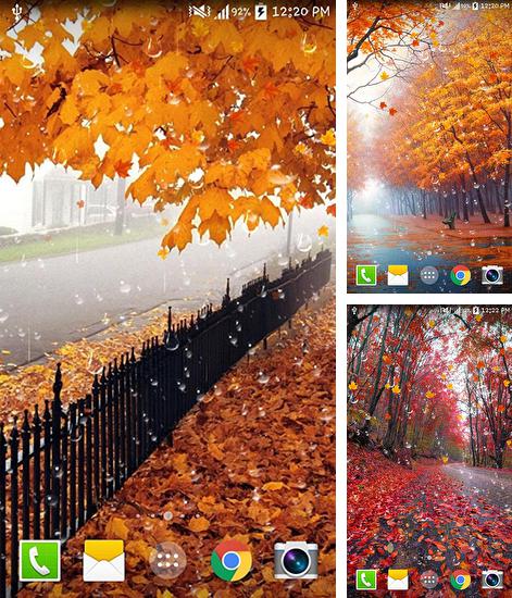 Дополнительно к живым обоям на Андроид телефоны и планшеты Нежные цветы, вы можете также бесплатно скачать заставку Maple: Droplets.