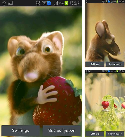 Zusätzlich zum Live Wallpaper Frühlingsblumen aus Knetmasse für Android Mobiltelefone und Tablets, können Sie auch Mouse with strawberries, Maus mit Erdbeeren kostenlos herunterladen.