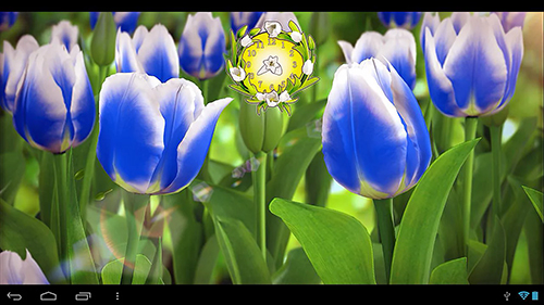 Screenshots of the My flower 3D for Android tablet, phone.