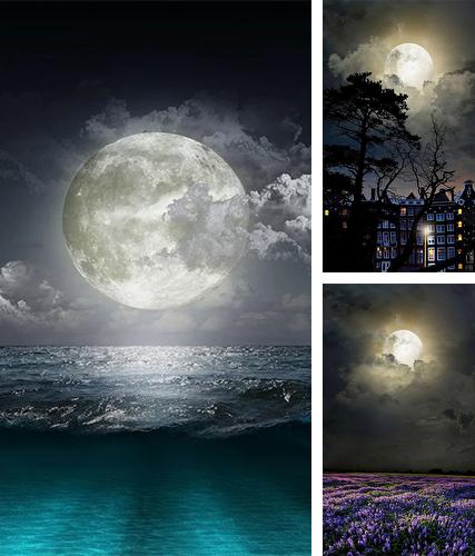 Download live wallpaper Mystic night by Live Wallpaper HQ for Android. Get full version of Android apk livewallpaper Mystic night by Live Wallpaper HQ for tablet and phone.