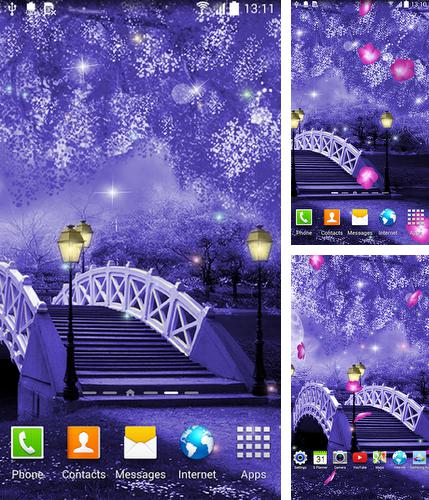 Download live wallpaper Mystic night for Android. Get full version of Android apk livewallpaper Mystic night for tablet and phone.