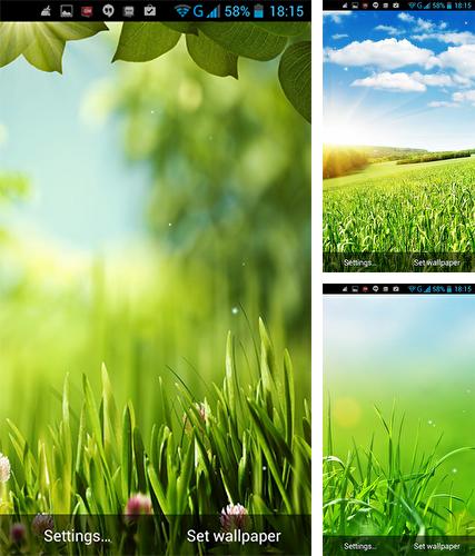 Download live wallpaper Nature bliss for Android. Get full version of Android apk livewallpaper Nature bliss for tablet and phone.