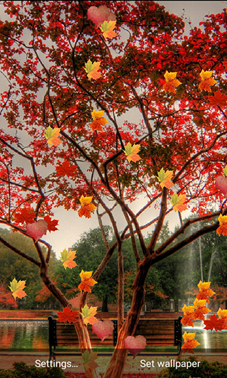 Nature: Changing leaf live wallpaper for Android. Nature: Changing leaf  free download for tablet and phone.