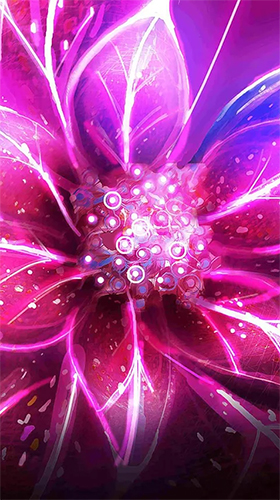 Neon flowers by Art LWP