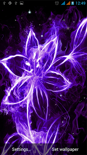 Neon flowers by Live Wallpapers Gallery