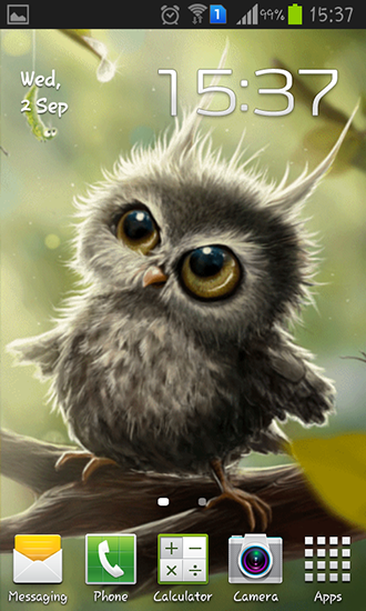 Owl chick live wallpaper for Android. Owl chick free download for tablet  and phone.