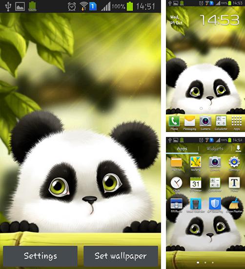 Kostenloses Android-Live Wallpaper Panda. Vollversion der Android-apk-App Panda für Tablets und Telefone.
