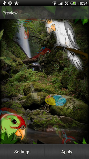 Download livewallpaper Parrot for Android. Get full version of Android apk livewallpaper Parrot for tablet and phone.