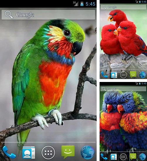 Zusätzlich zum Live Wallpaper Planet 3D für Android Mobiltelefone und Tablets, können Sie auch Parrot by Wpstar, Papagei kostenlos herunterladen.