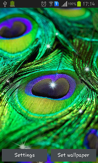 Download livewallpaper Peacock feather for Android. Get full version of Android apk livewallpaper Peacock feather for tablet and phone.