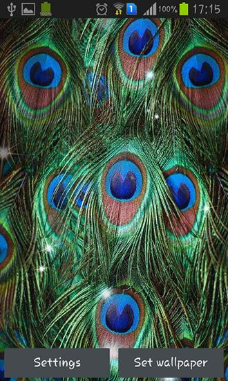 Download Peacock feather - livewallpaper for Android. Peacock feather apk - free download.
