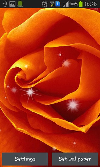 Screenshots of the Petals for Android tablet, phone.