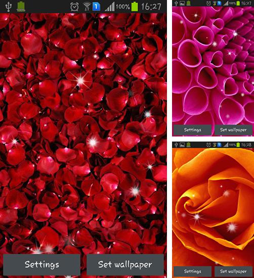 Zusätzlich zum Live Wallpaper Wassertropfen: Blumen und Blätter für Android Mobiltelefone und Tablets, können Sie auch Petals, Blüten kostenlos herunterladen.