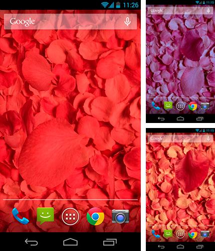 Kostenloses Android-Live Wallpaper Blütenblätter 3D. Vollversion der Android-apk-App Petals 3D für Tablets und Telefone.