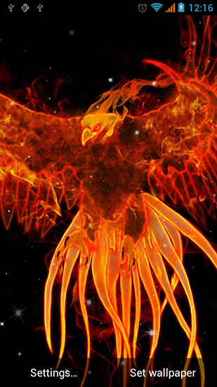 Phoenix Pour Android A Telecharger Gratuitement Fond D Ecran Anime Phenix Sous Android