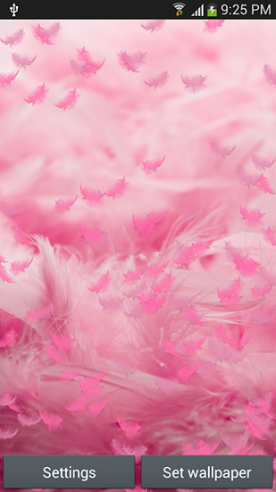 Pink feather